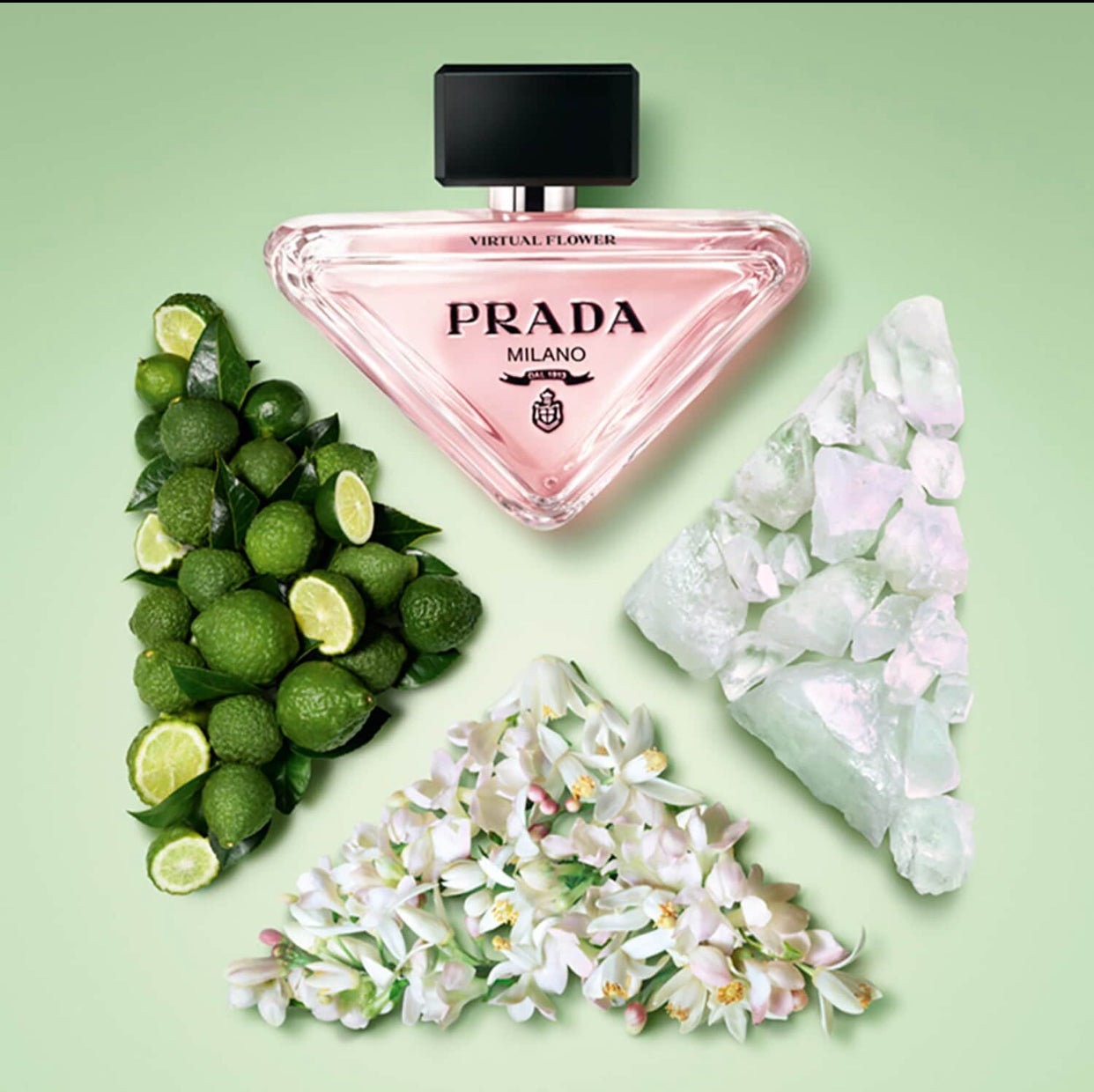 Prada Paradoxe Virtual Flower